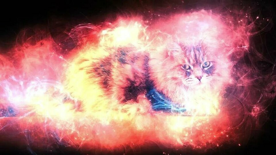 quantum-cat-l-1744081919016785453372-1744123090467-1744123090523877253110_jpg_75.jpg quantum-cat-l-1744081919016785453372-1744123090467-1744123090523877253110_jpg_75.jpg