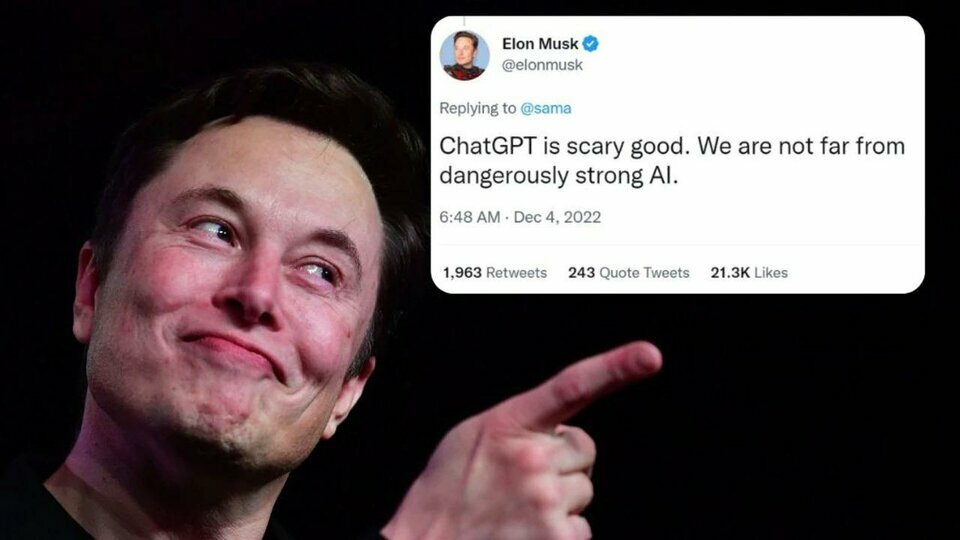 musk-3.jpeg_75.jpg