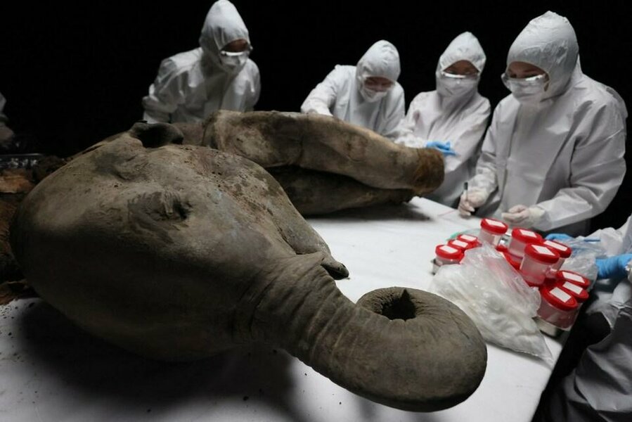 000-years-following-analysis-permafrost-101659757-1744261897679449549914-1744269317691-1744269...jpg