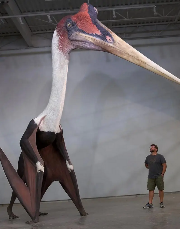 1744620859859.png 1744620859859.png