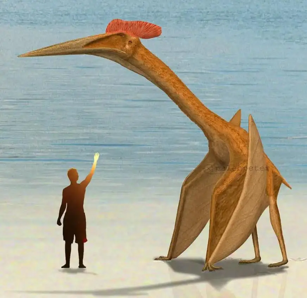 1744620938986.png 1744620938986.png