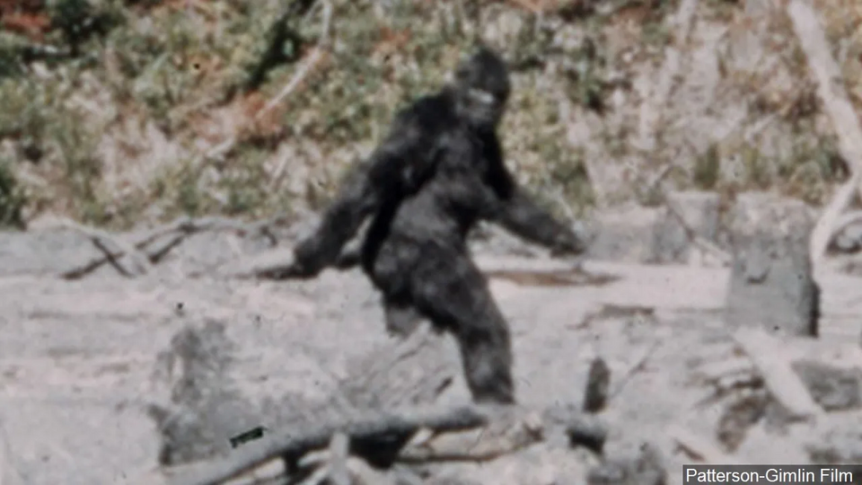 1744772093805.png 1744772093805.png
