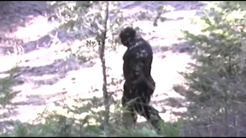 1744772109354.png 1744772109354.png