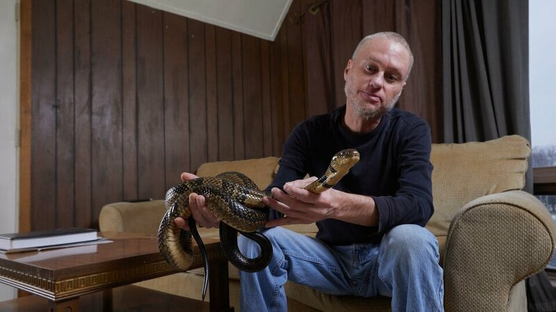 02hs-snakes-plwt-videosixteenbynine3000-1746325534621774565873-1746335431291-17463354314101790...jpg 02hs-snakes-plwt-videosixteenbynine3000-1746325534621774565873-1746335431291-17463354314101790...jpg