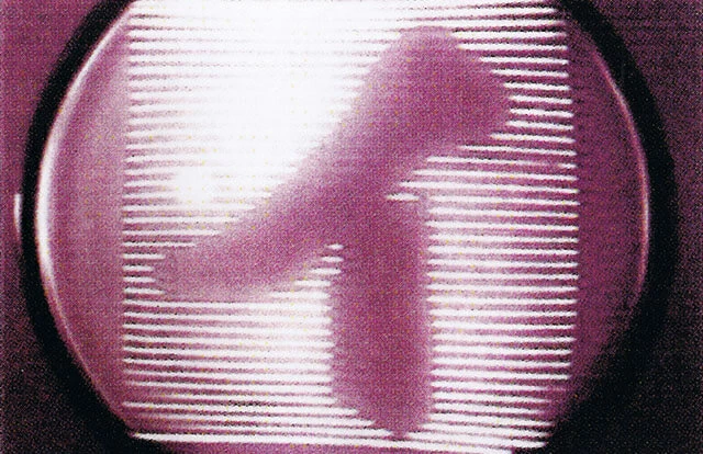 1746415259877.png 1746415259877.png