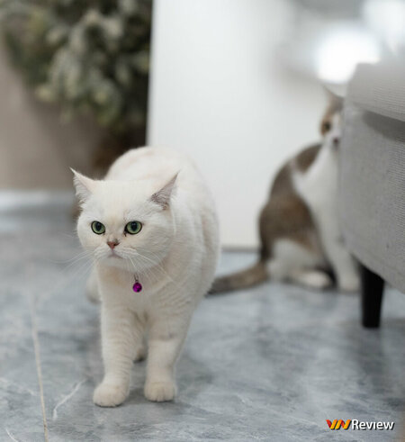 Tiêu cự 70mm F2.jpg Tiêu cự 70mm F2.jpg