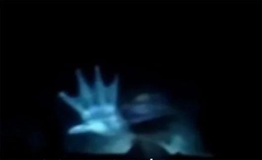1746539483206.png 1746539483206.png