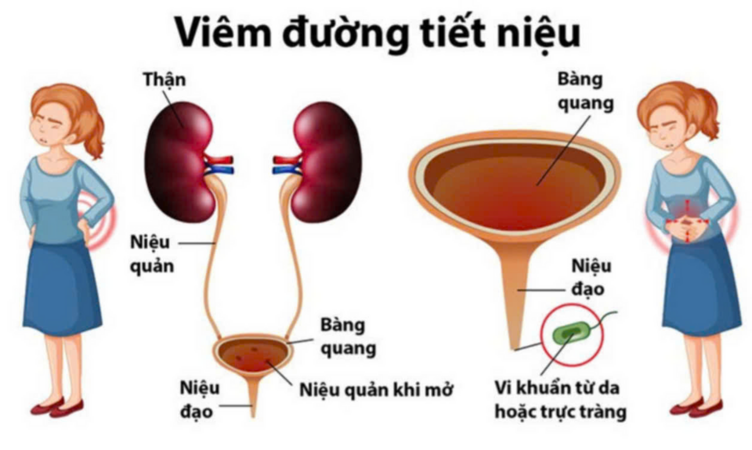 1746613129641.png