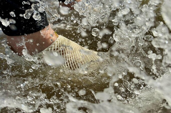 IMG_8892.jpeg_75_ko lo go.jpg