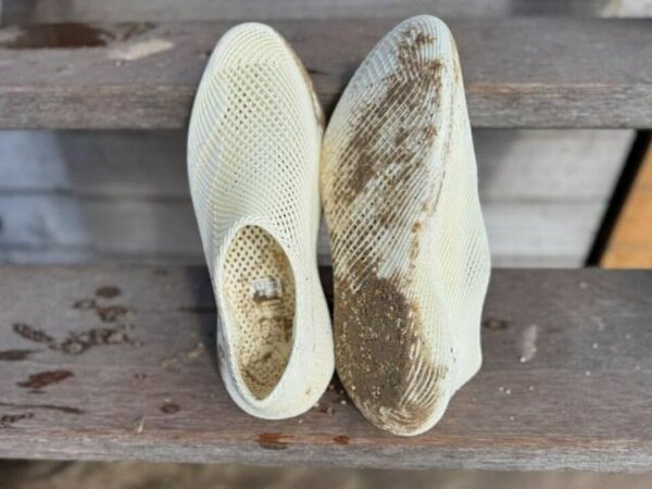 IMG_9010_e15689.jpeg_75_ko lo go.jpg