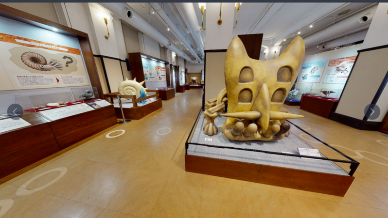 Screenshot 2025-05-17 at 16-32-08 The Pokémon Fossil Museum Is Bringing Real and Fake Pokémon ...png Screenshot 2025-05-17 at 16-32-08 The Pokémon Fossil Museum Is Bringing Real and Fake Pokémon ...png