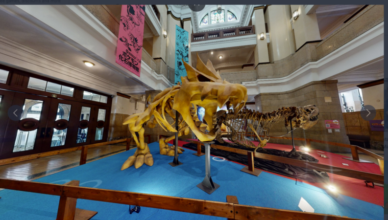 Screenshot 2025-05-17 at 16-31-24 The Pokémon Fossil Museum Is Bringing Real and Fake Pokémon ...png