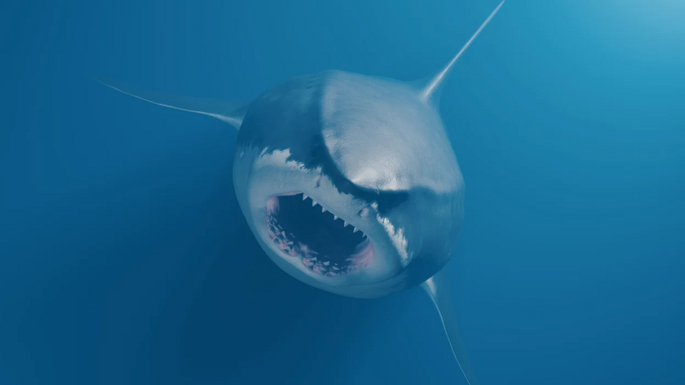 1748501335295.png 1748501335295.png