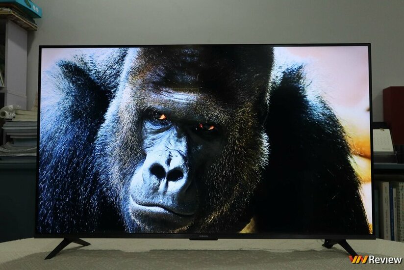 IMG_0358_1280 logo mau.jpg