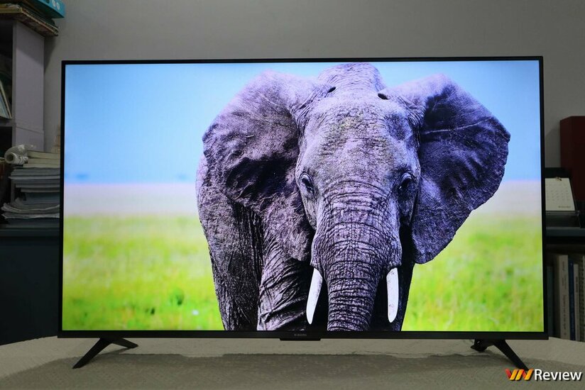 IMG_0353_1280 logo mau.jpg