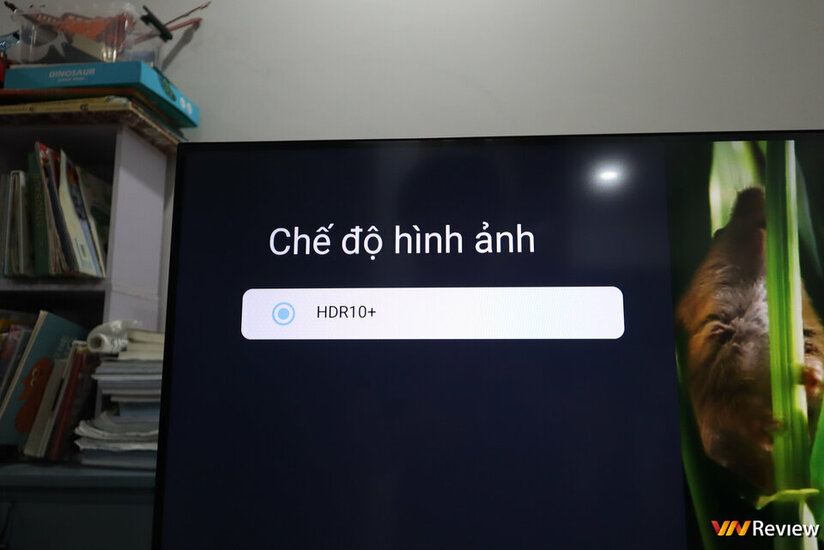 IMG_0785_1280 logo mau.jpg