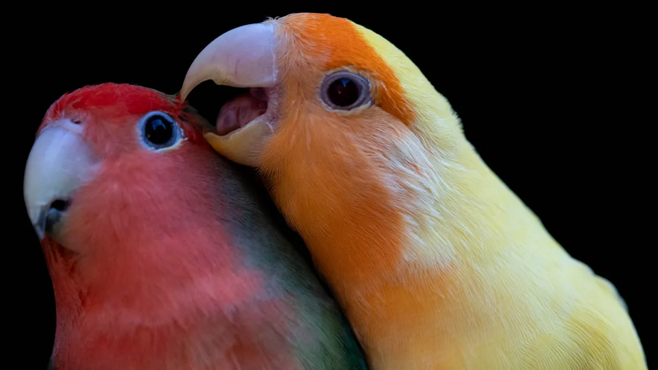 1749723356834.png 1749723356834.png