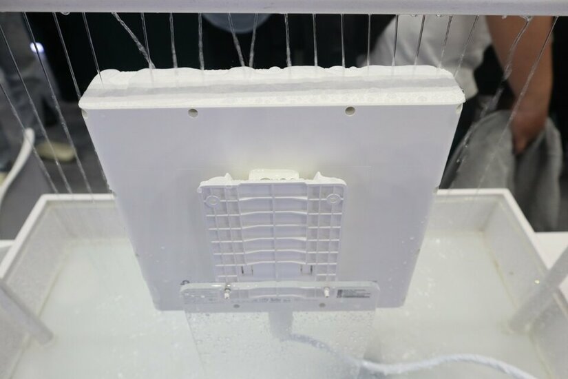 IMG_1368 (Medium).JPG