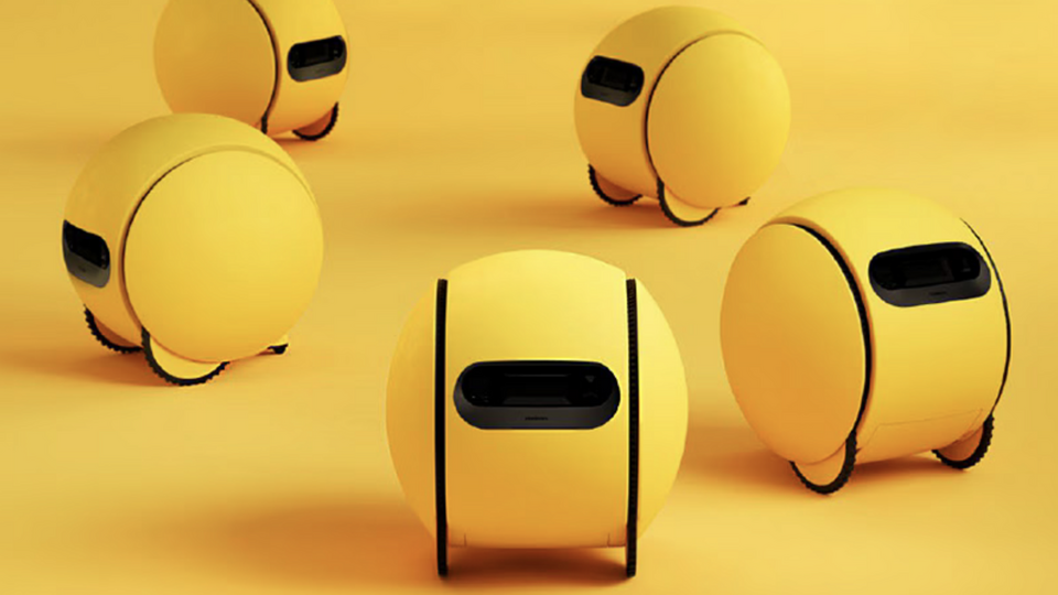 1750047847230.png