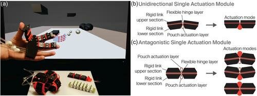 aisy1753-fig-0001-m_png_75(1).jpg aisy1753-fig-0001-m_png_75(1).jpg