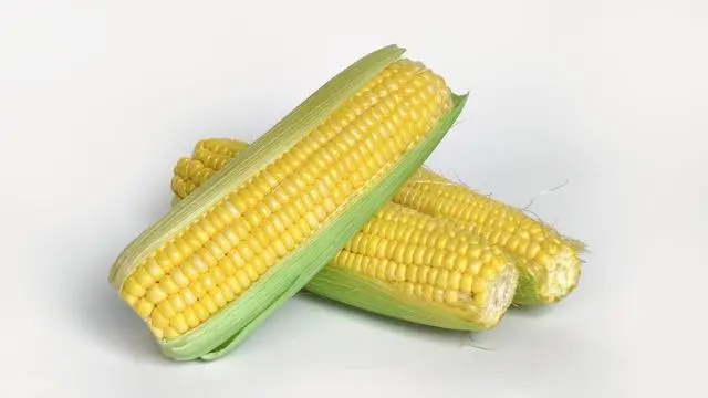 1751513564229.png