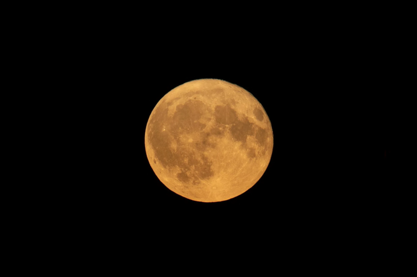 1751601464823.png 1751601464823.png