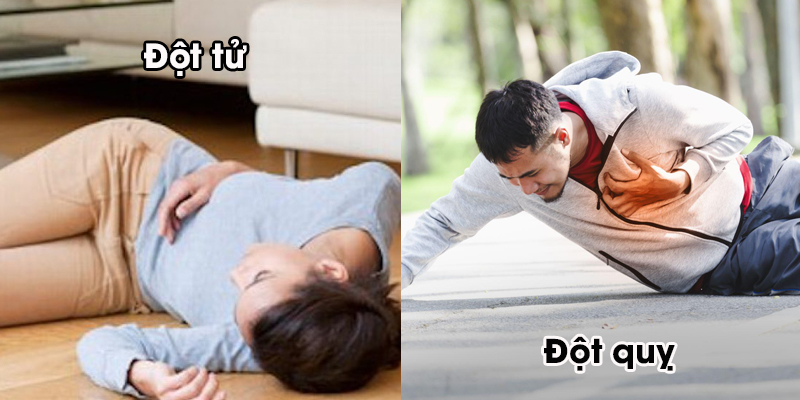 1754031207785.png 1754031207785.png