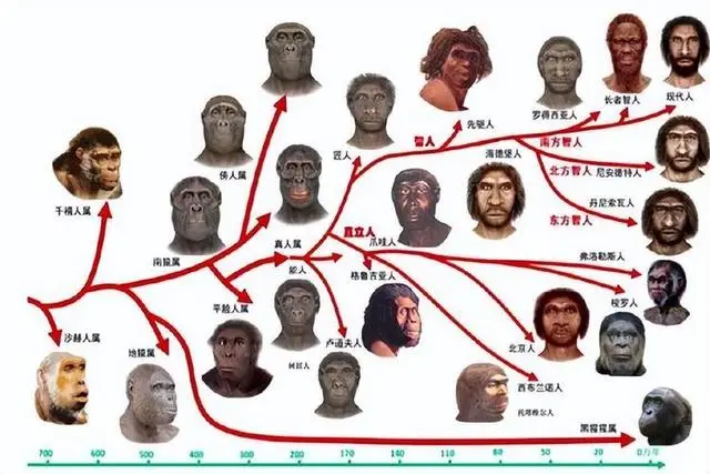 1756112156807.png 1756112156807.png