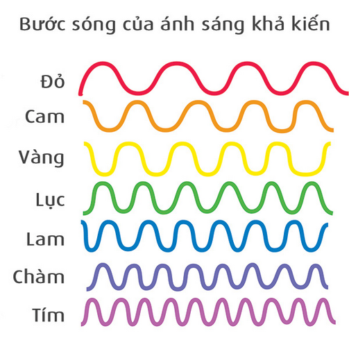 1718847923368.png 1718847923368.png
