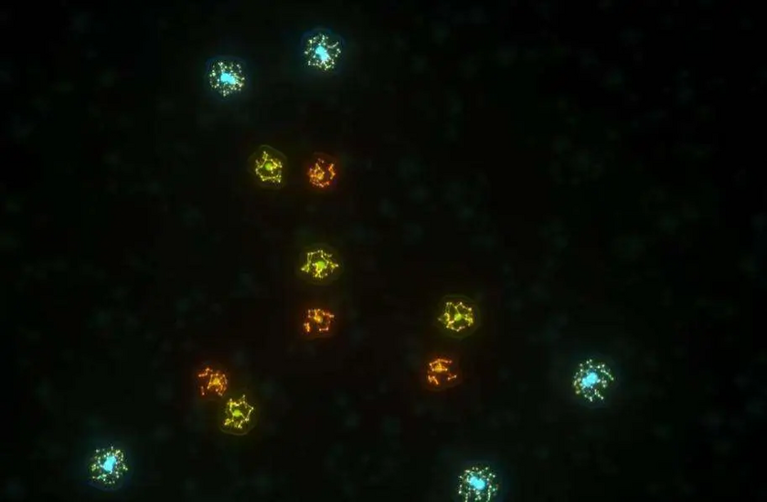 1758103890946.png