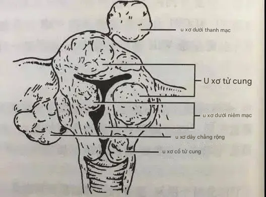 1759197903604.png 1759197903604.png