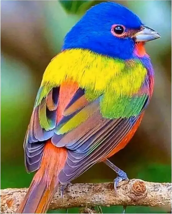 1760000807796.png 1760000807796.png