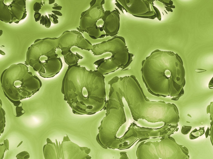 1760689021848.png 1760689021848.png