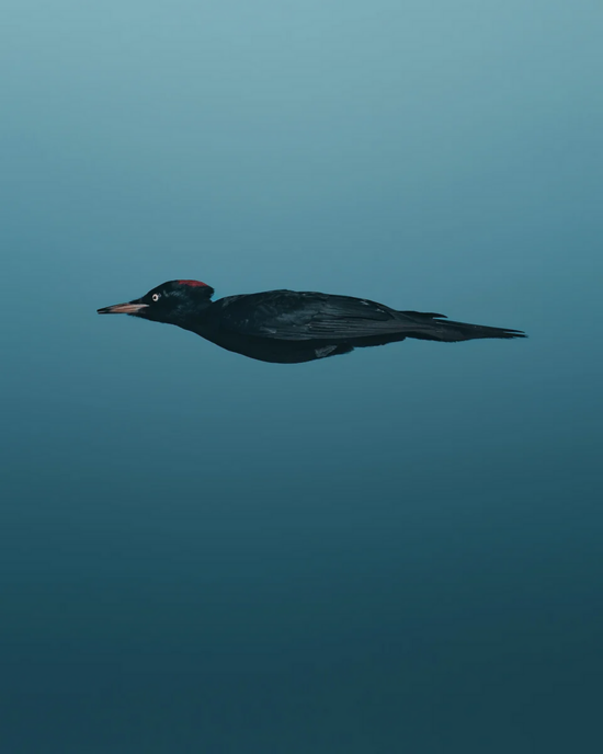 1761289427708.png 1761289427708.png