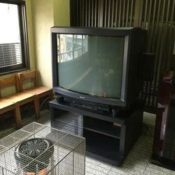 PVM_4300_1_jpg_75.jpg