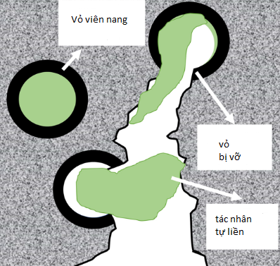 1719826614702.png 1719826614702.png