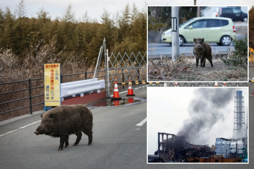 1779872780077.png 1779872780077.png