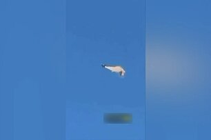 Tiêm kích F-15 bị hệ thống phòng không của đồng minh Kuwait bắn rơi nhầm