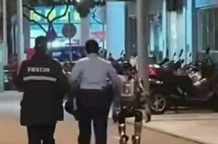 Cảnh sát vừa phải "áp giải" một robot hình người vì dọa cụ bà đến nhập viện